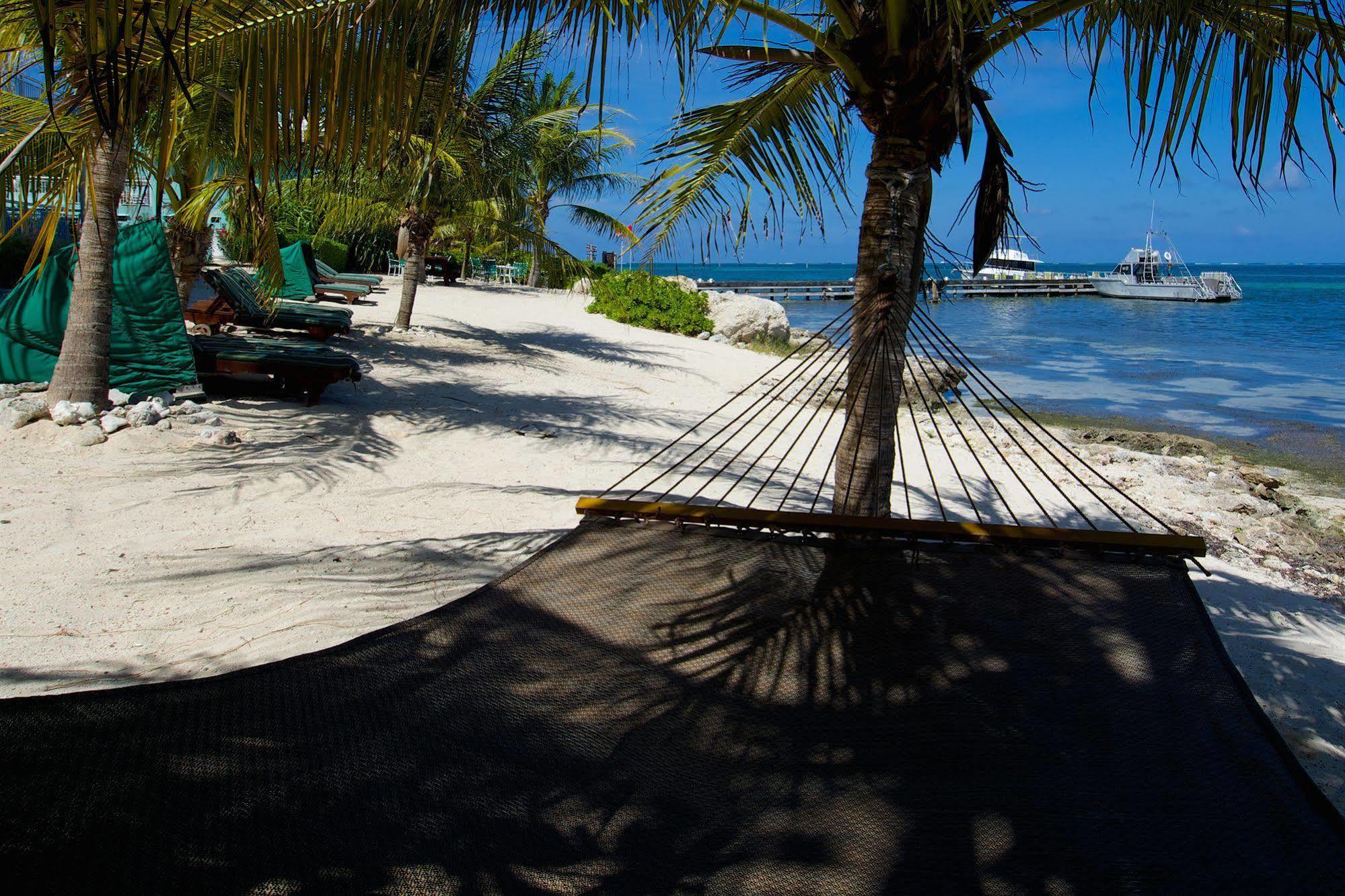 Compass Point Dive Resort Gun Bay المظهر الخارجي الصورة